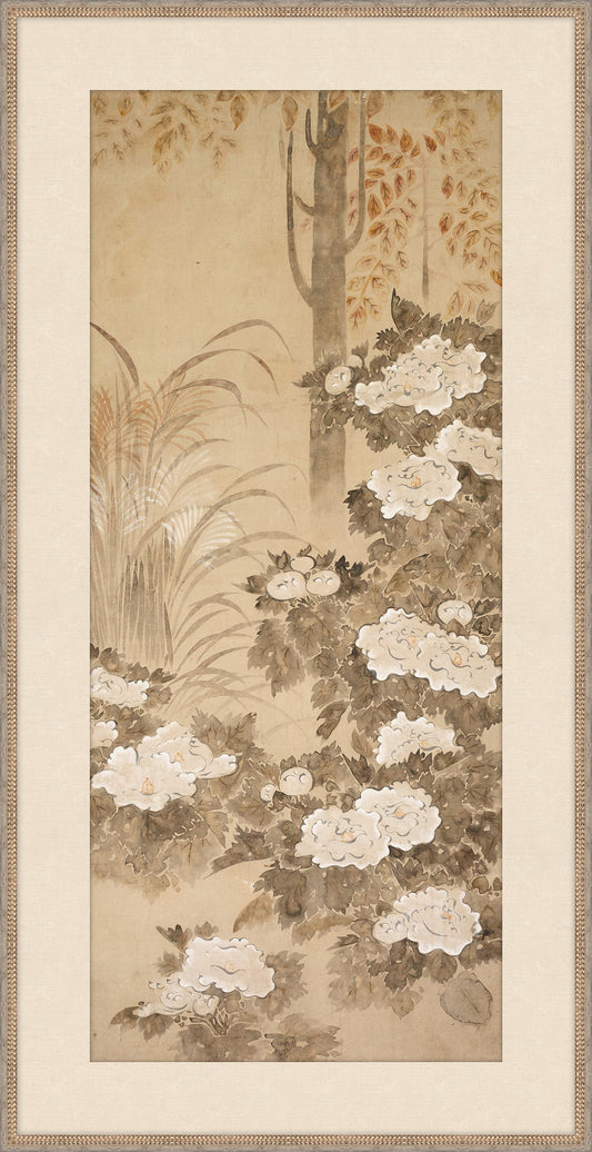 Peonies