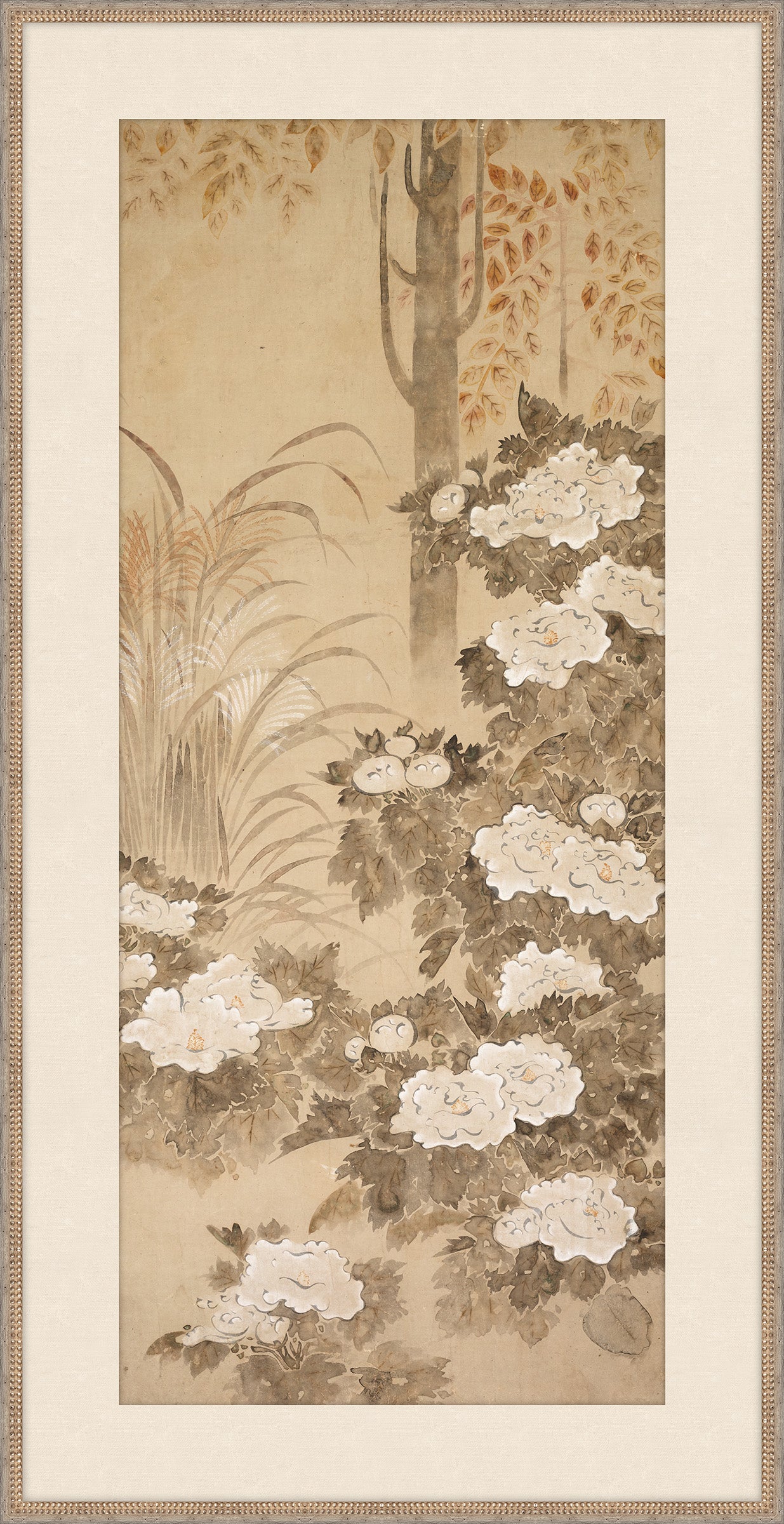 Peonies