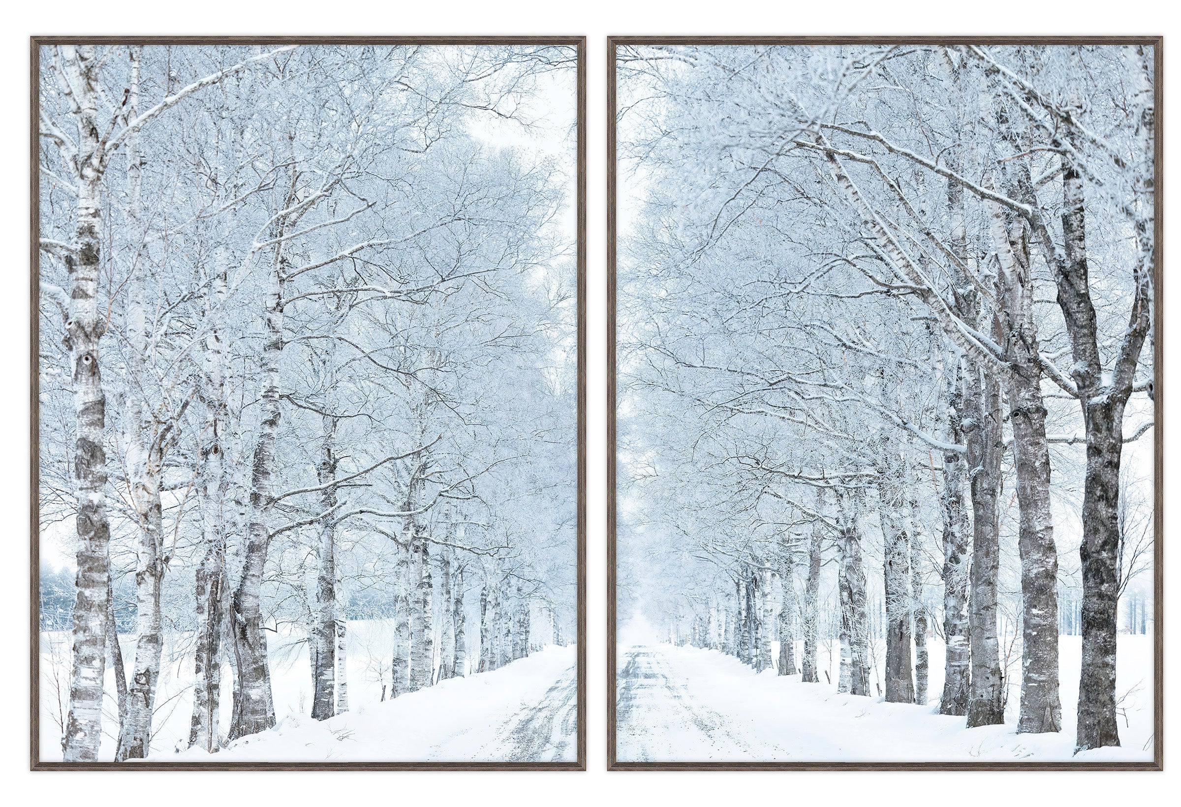 Winter White Trees Diptych (set of two)