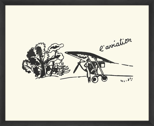L'aviation