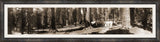 Panorama of Mariposa, Big Tree Grove, 1906