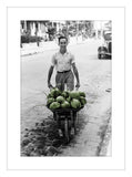Coconuts, Key West, 1938