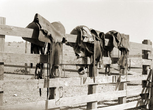 Saddles, Marfa, Texas Boxed Canvas