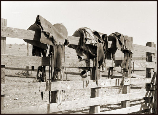 Saddles, Marfa, Texas