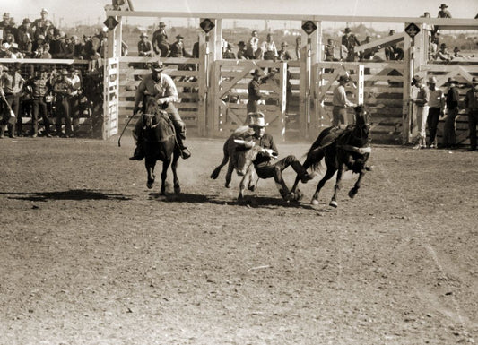Rodeo, San Angelo, Texas Boxed Canvas