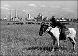 Dallas Skyline and Cowboy, Texas