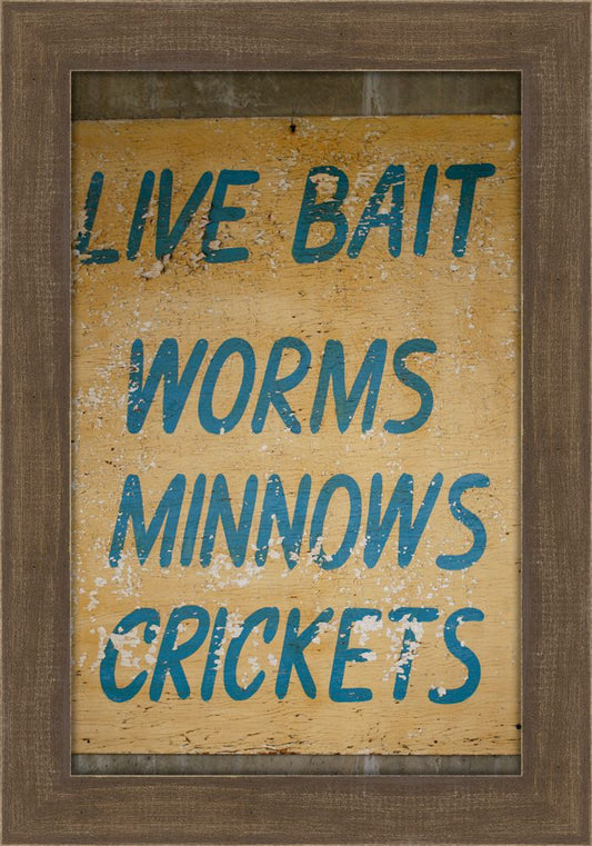 Live Bait