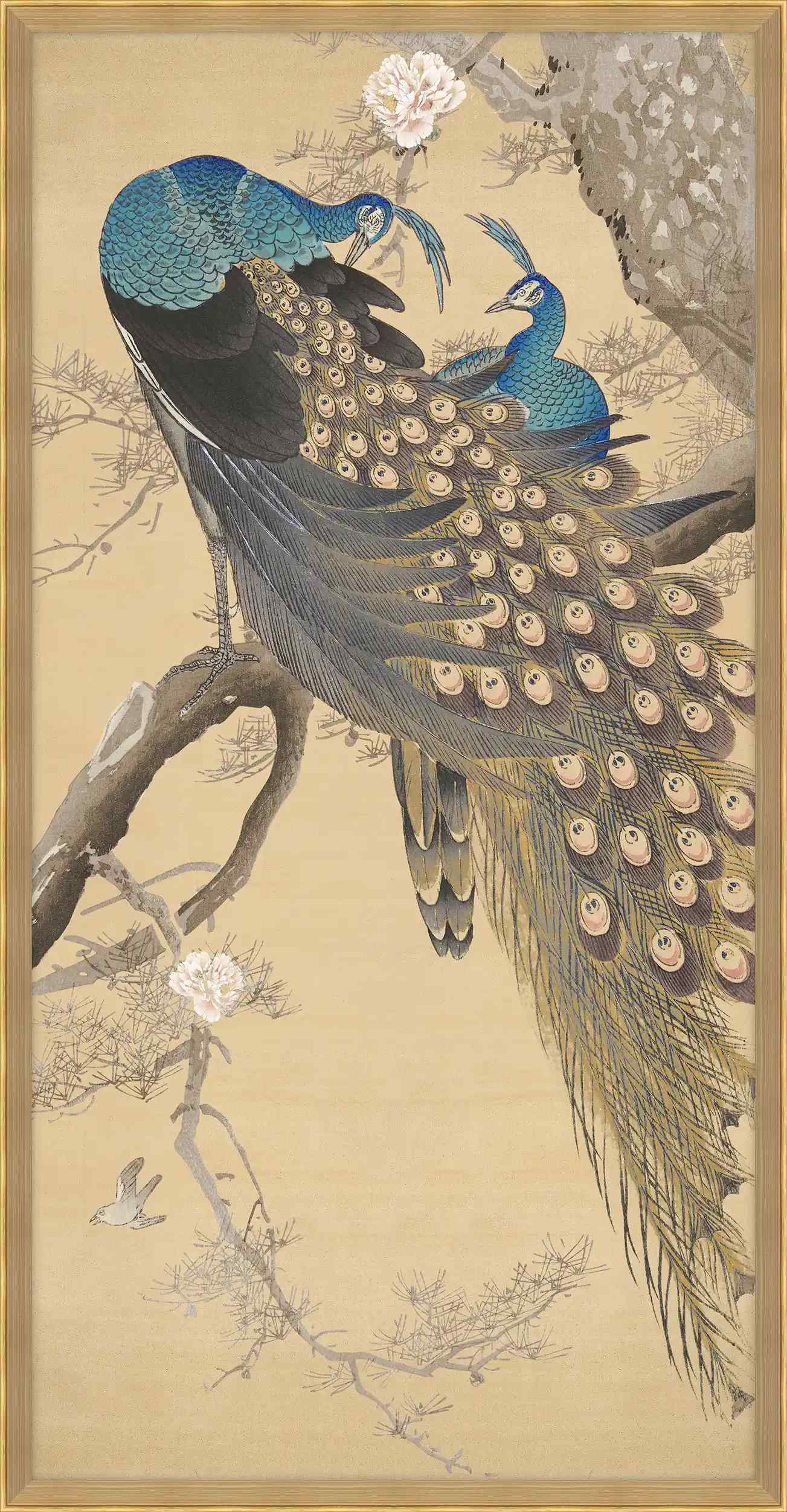 A Pair Of Peacocks In The Spring Ii