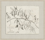 Rheedes Botanicals on Linen IX