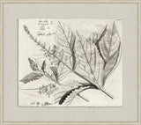 Rheedes Botanicals on Linen X