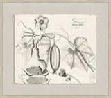 Rheedes Botanicals on Linen XI