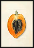 Carica Papaya