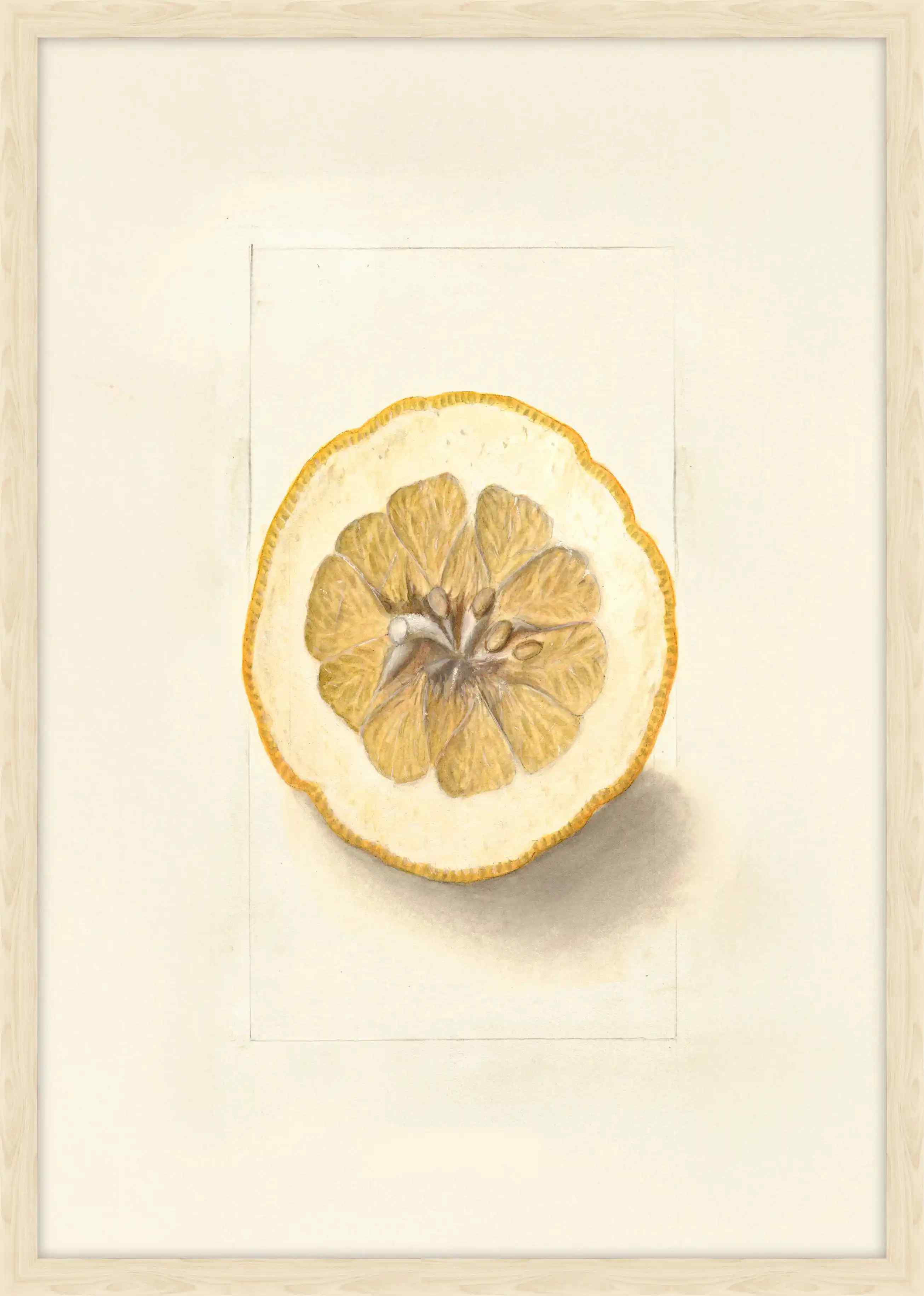 Yuzu