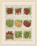 Peppers