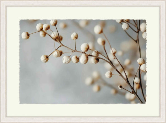 Dried Elegance