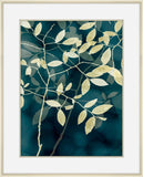 Leaves Against Deep Blue