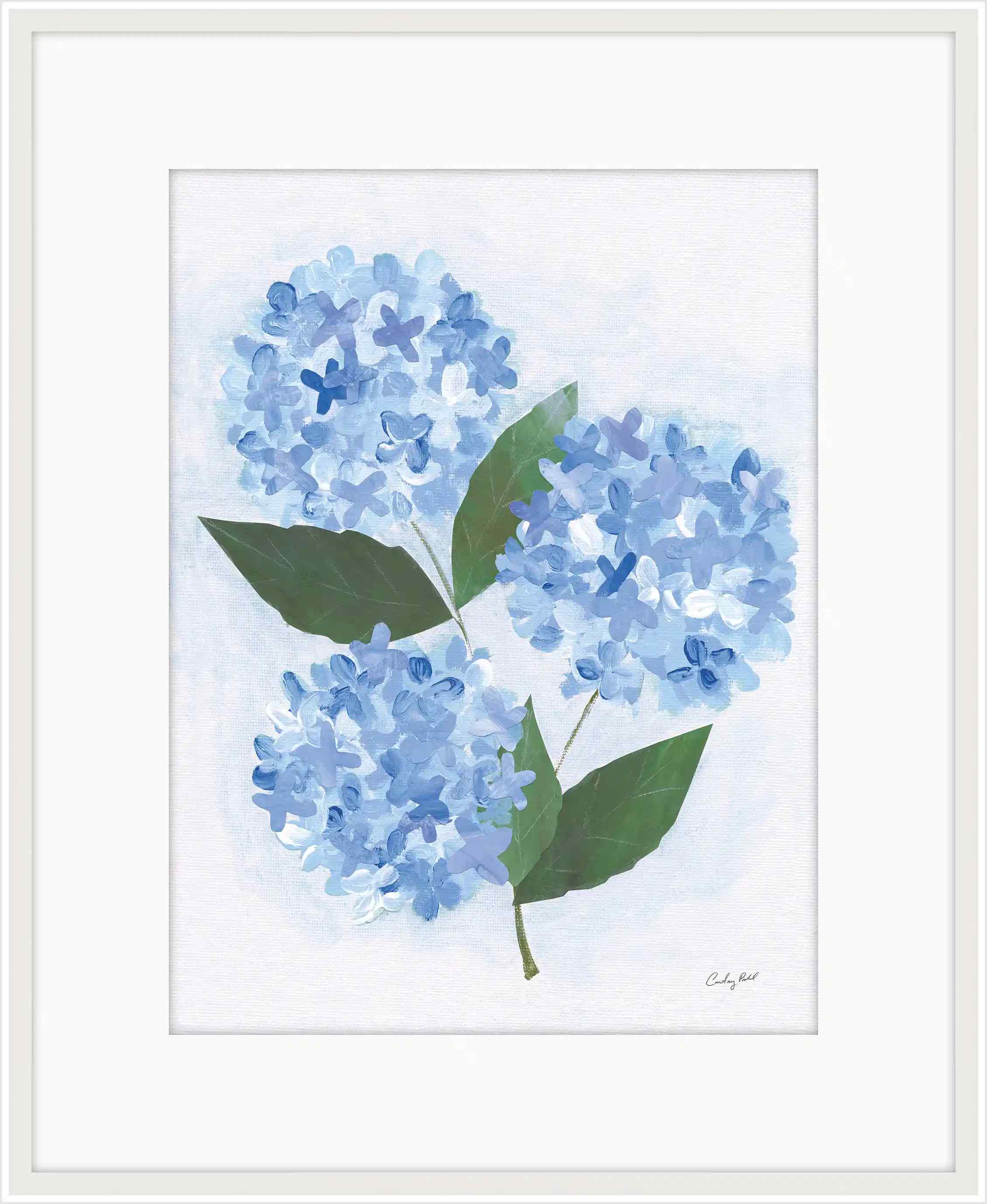 Providence Hydrangea I