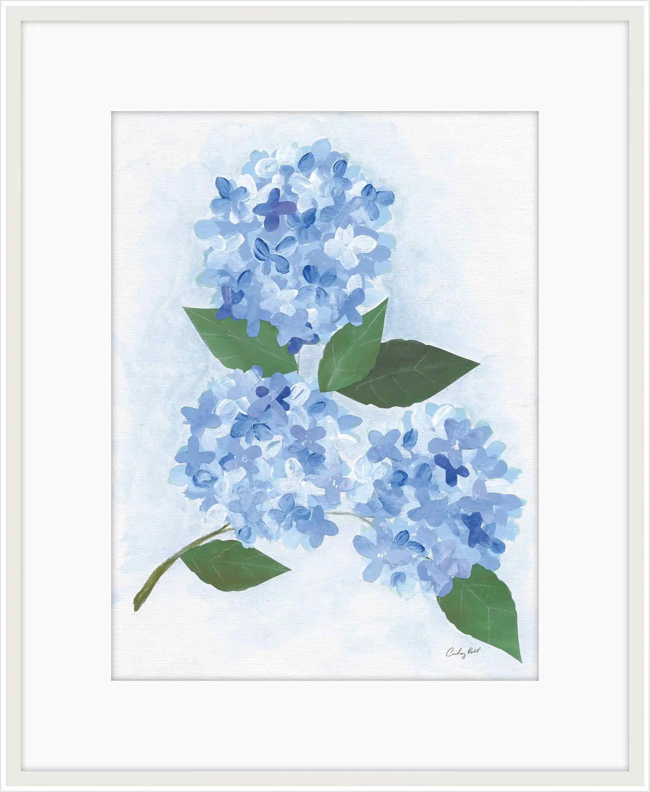 Providence Hydrangea I