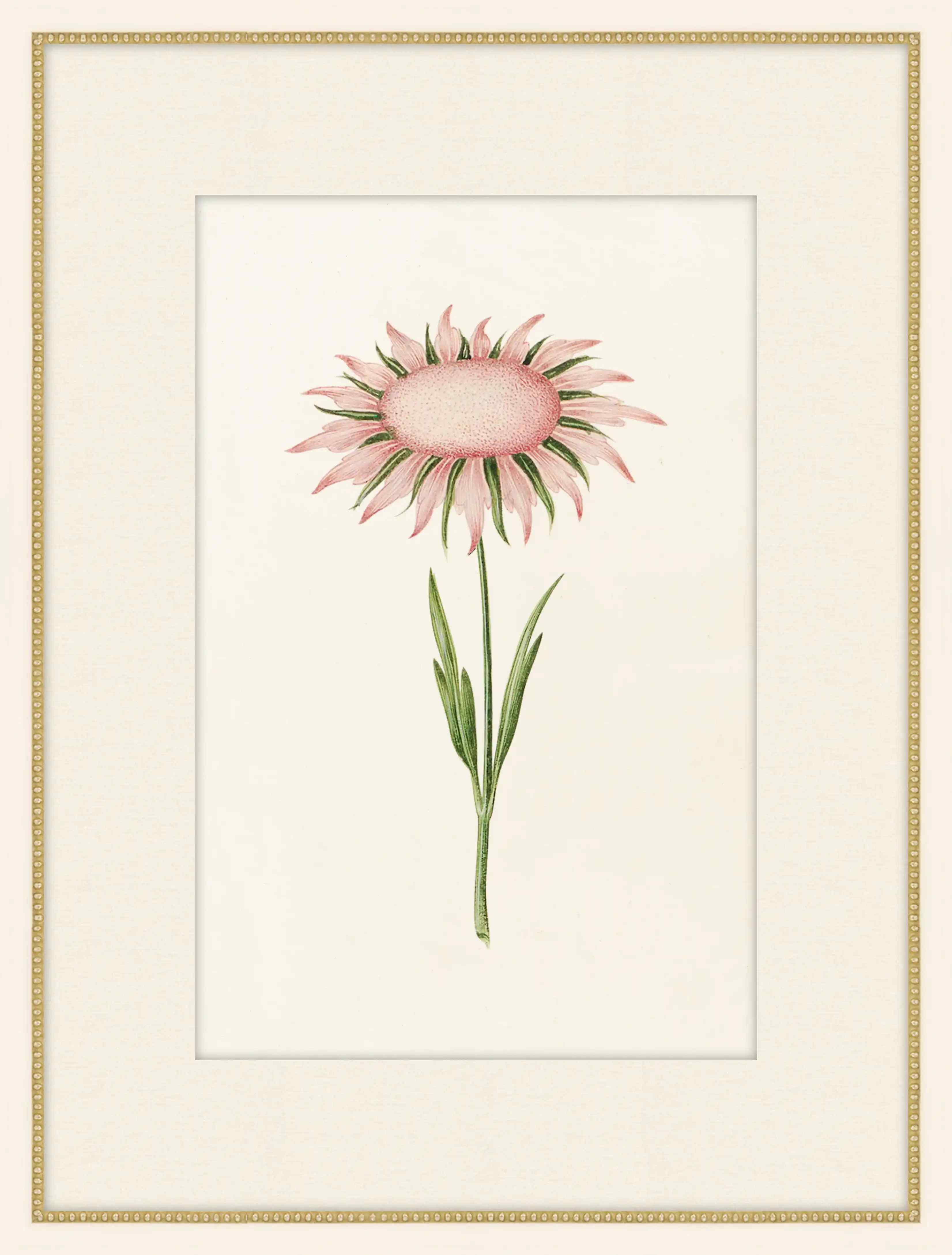 Flos