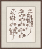 Herbier De La Flore on Espresso I, Louis Antoine Cusin, 1876