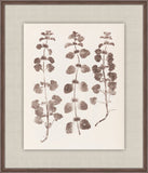 Herbier De La Flore on Espresso I, Louis Antoine Cusin, 1876