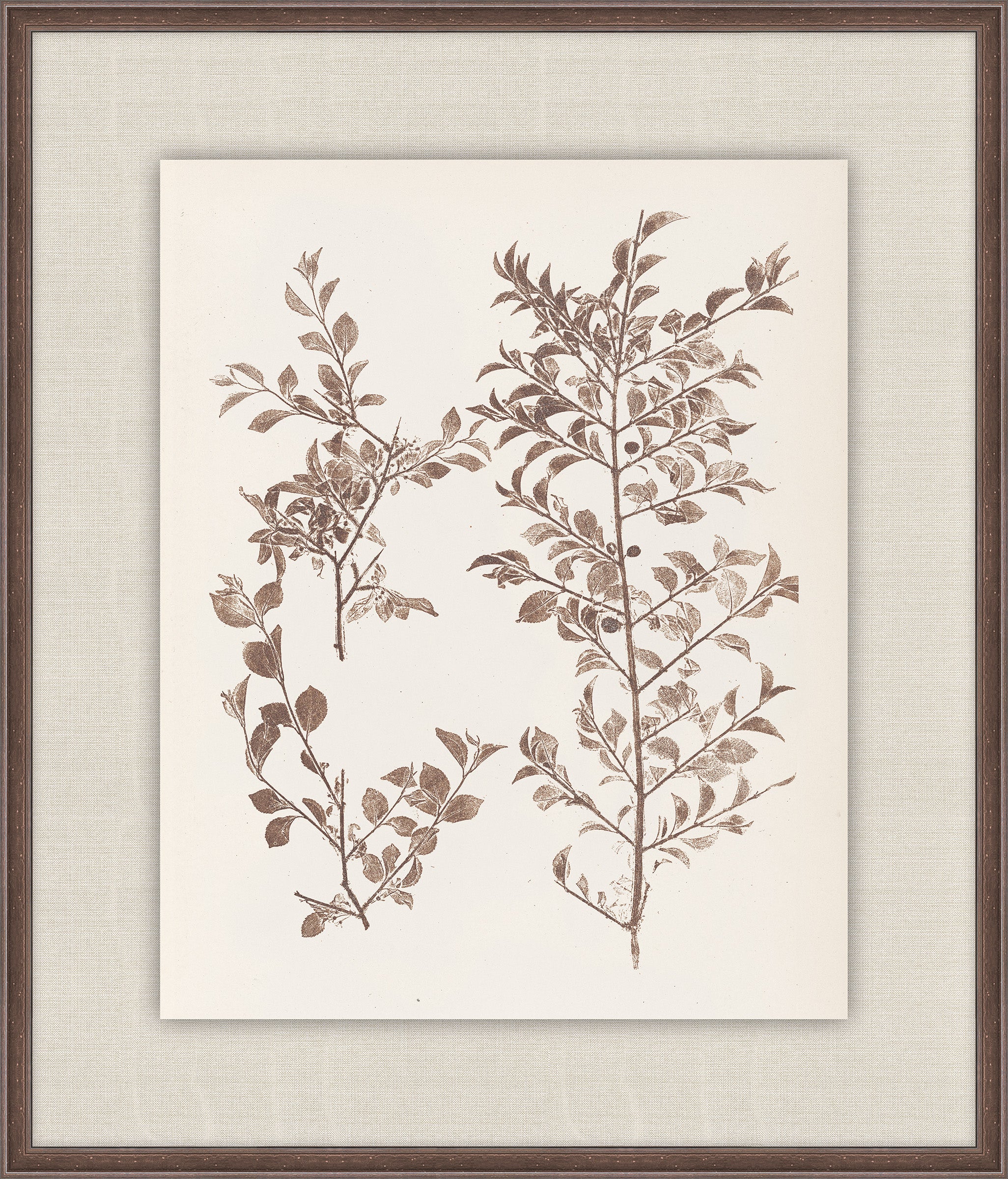 Herbier De La Flore on Espresso II, Louis Antoine Cusin, 1876