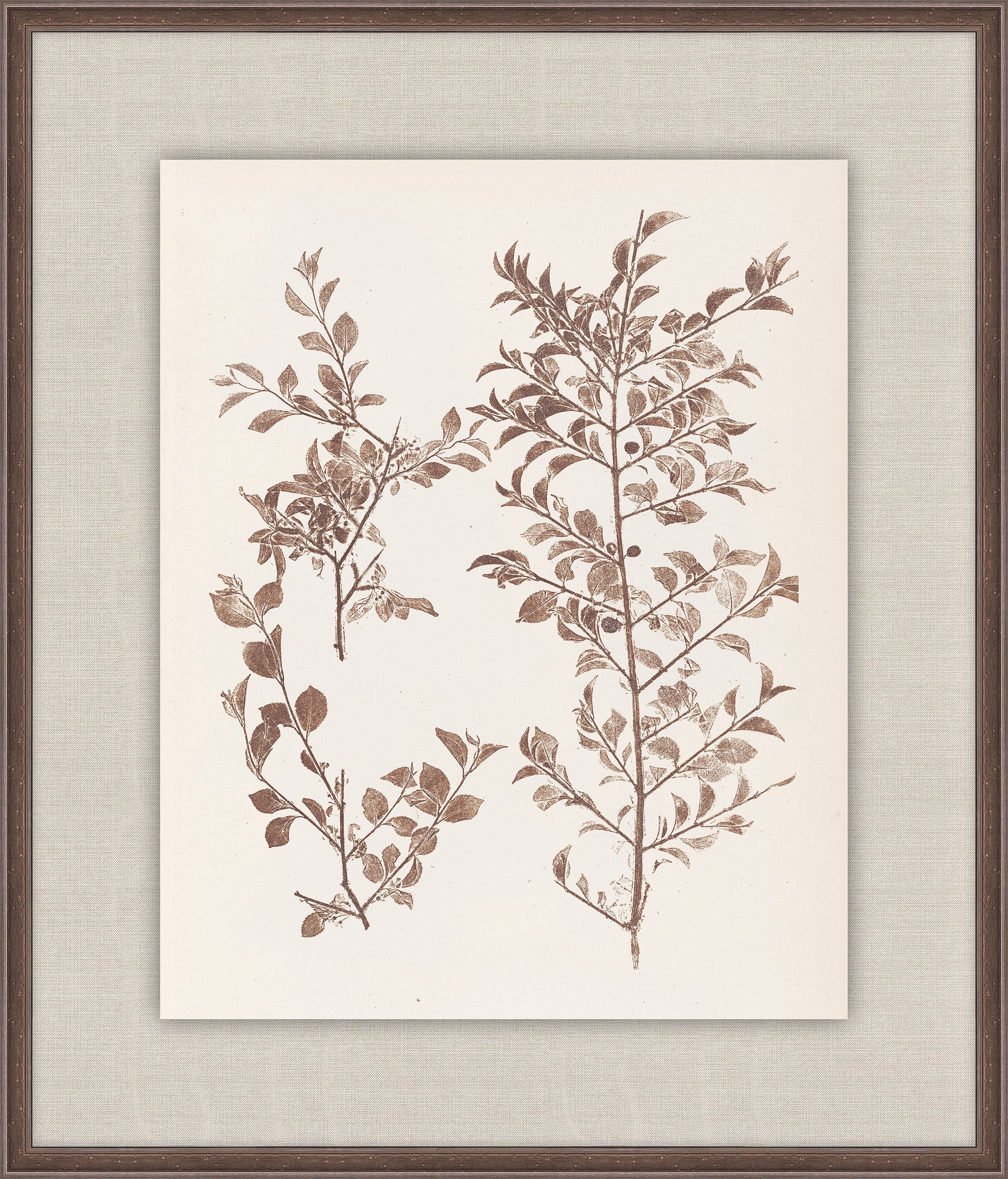 Herbier De La Flore on Espresso II, Louis Antoine Cusin, 1876