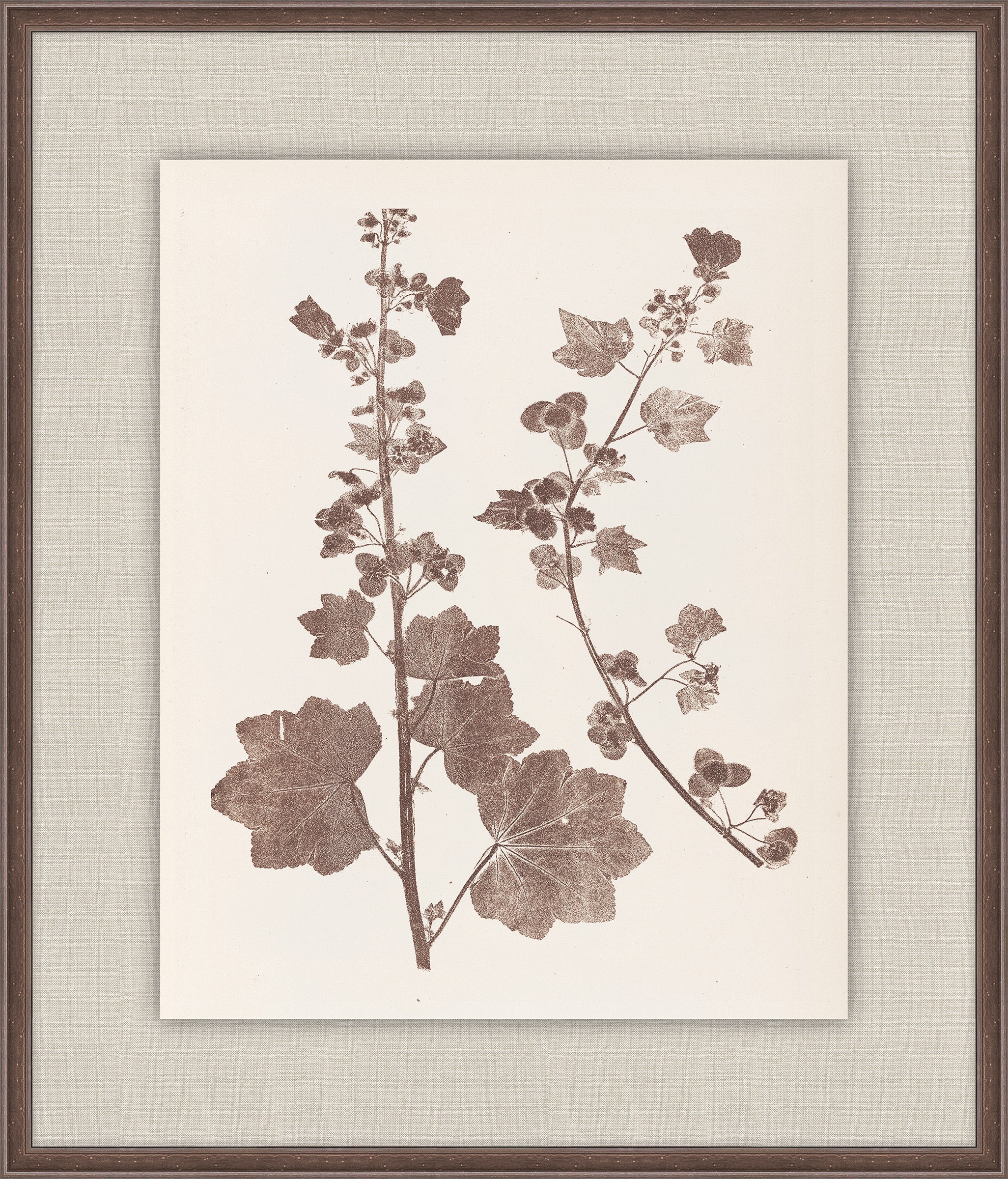 Herbier De La Flore on Espresso III, Louis Antoine Cusin, 1876