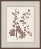 Herbier De La Flore on Espresso III, Louis Antoine Cusin, 1876