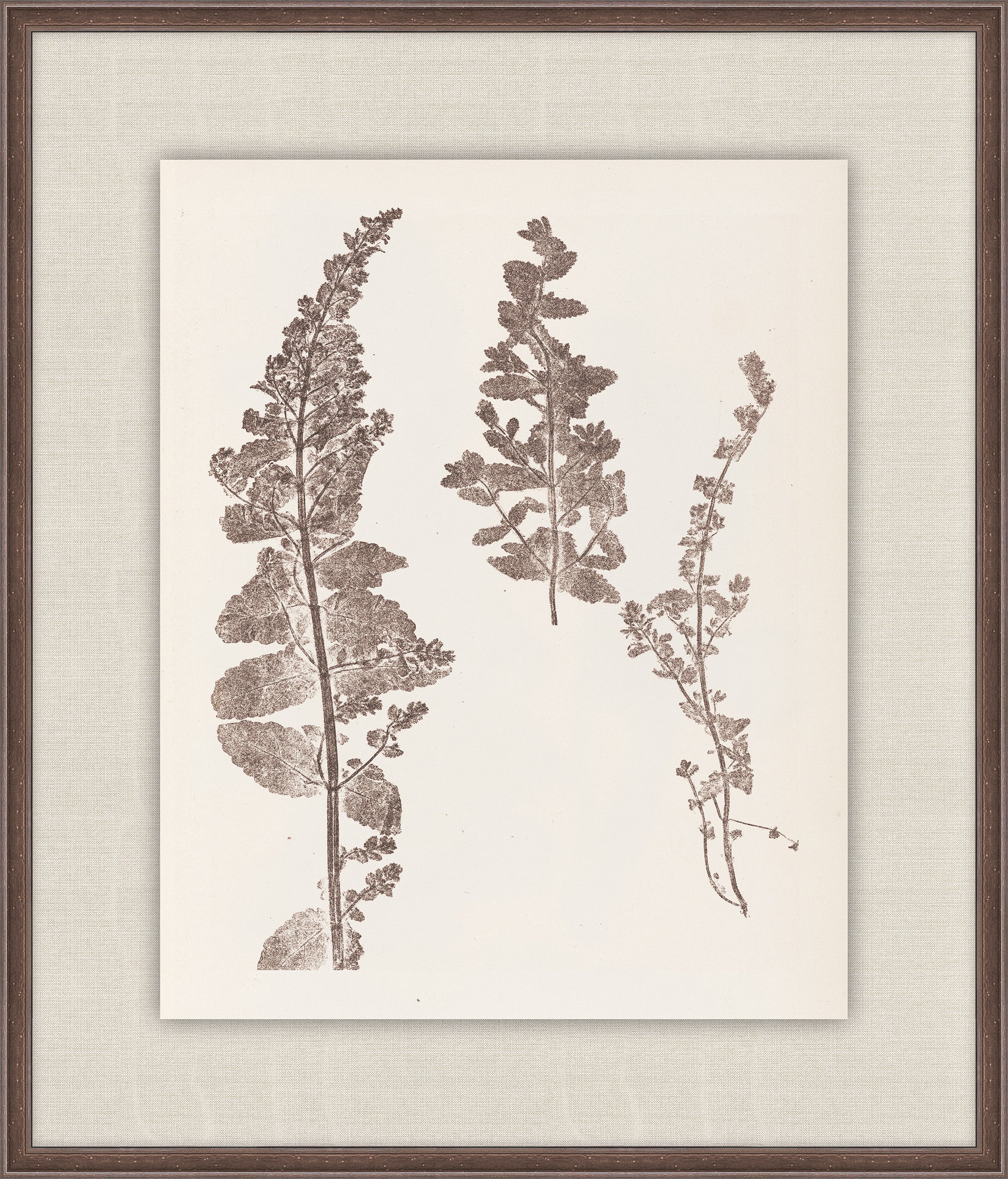 Herbier De La Flore on Espresso IV, Louis Antoine Cusin, 1876