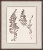 Herbier De La Flore on Espresso IV, Louis Antoine Cusin, 1876