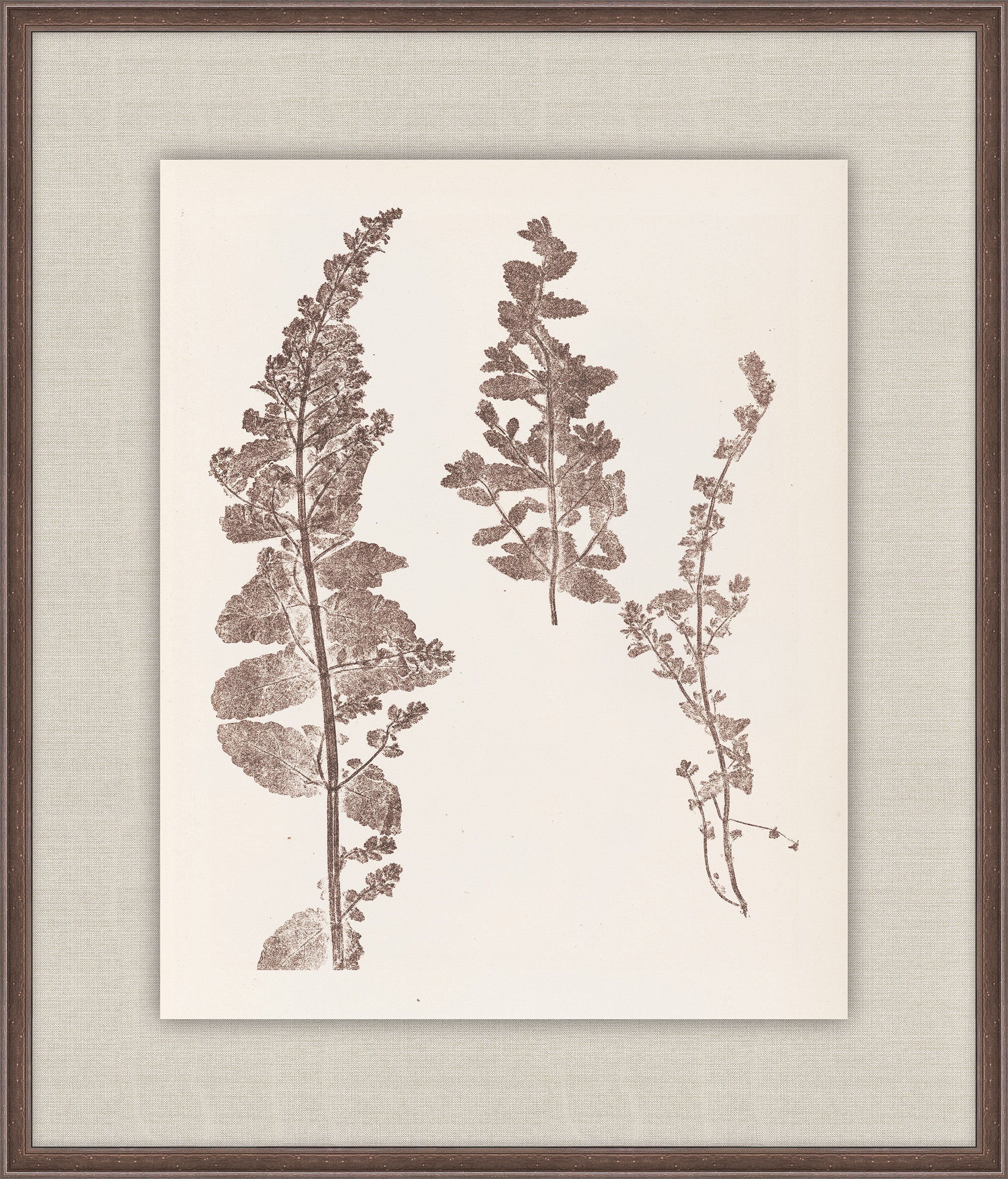 Herbier De La Flore on Espresso IV, Louis Antoine Cusin, 1876