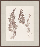Herbier De La Flore on Espresso IV, Louis Antoine Cusin, 1876