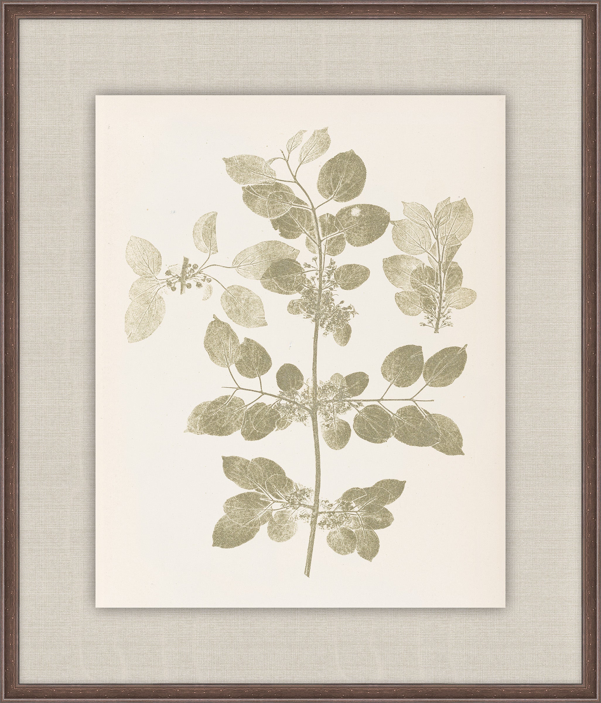 Herbier De La Flore on Sage I, Louis Antoine Cusin, 1876