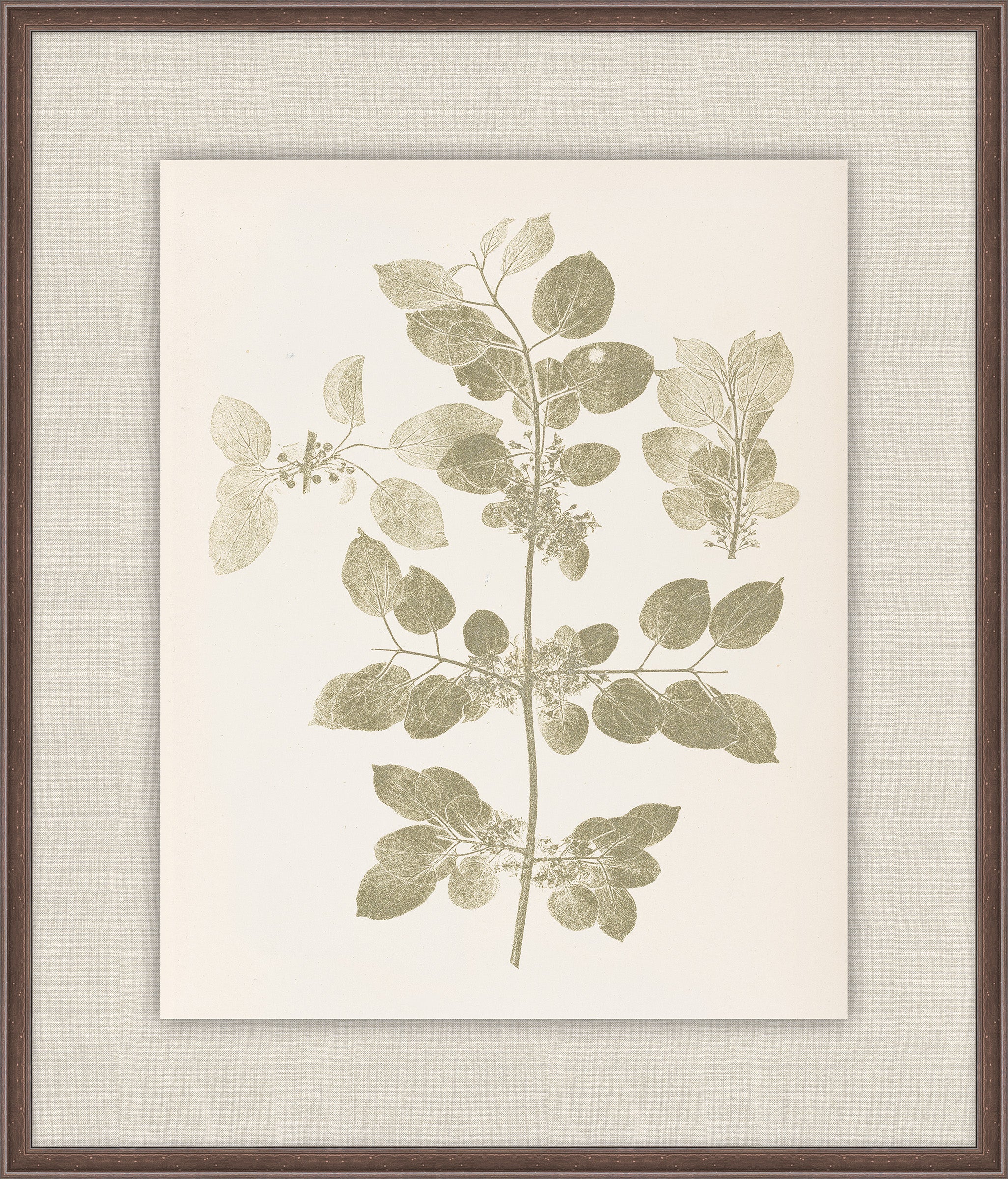 Herbier De La Flore on Sage I, Louis Antoine Cusin, 1876