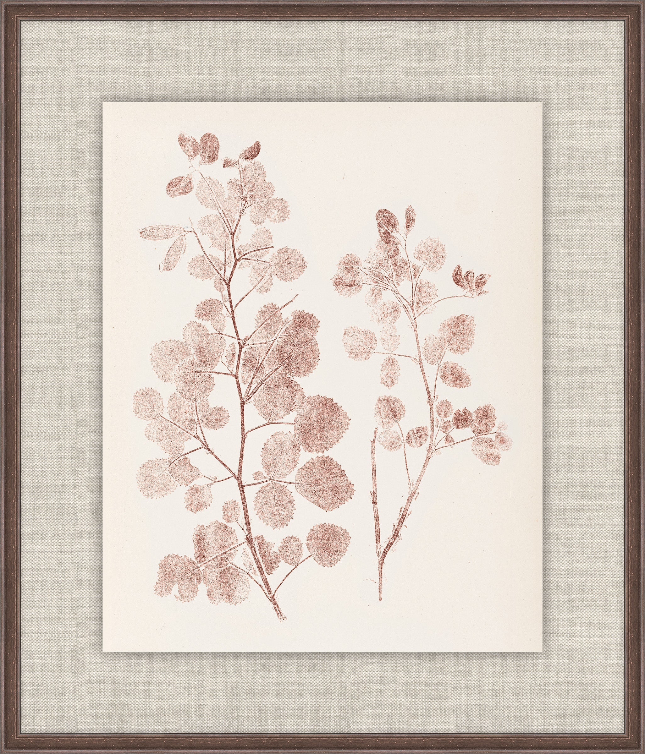 Herbier De La Flore on Burgundy I, Louis Antoine Cusin, 1876