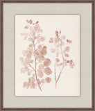 Herbier De La Flore on Burgundy I, Louis Antoine Cusin, 1876