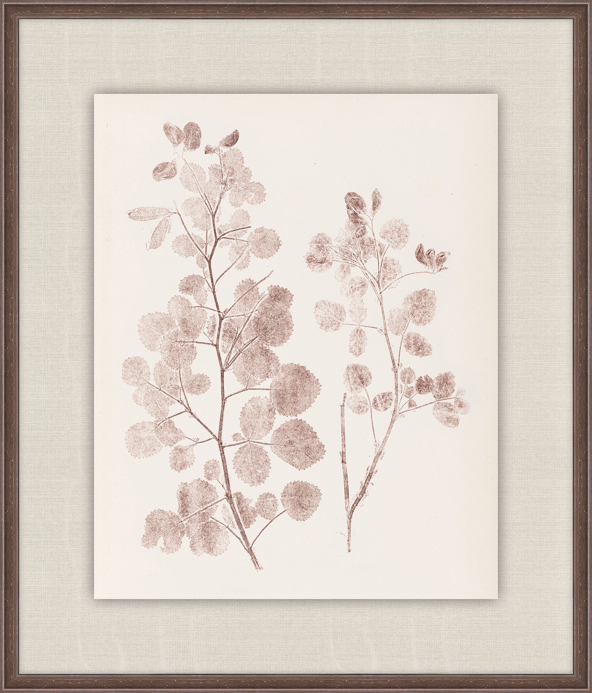 Herbier De La Flore on Burgundy I, Louis Antoine Cusin, 1876