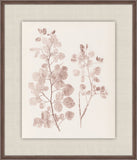 Herbier De La Flore on Burgundy I, Louis Antoine Cusin, 1876