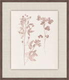 Herbier De La Flore on Burgundy I, Louis Antoine Cusin, 1876