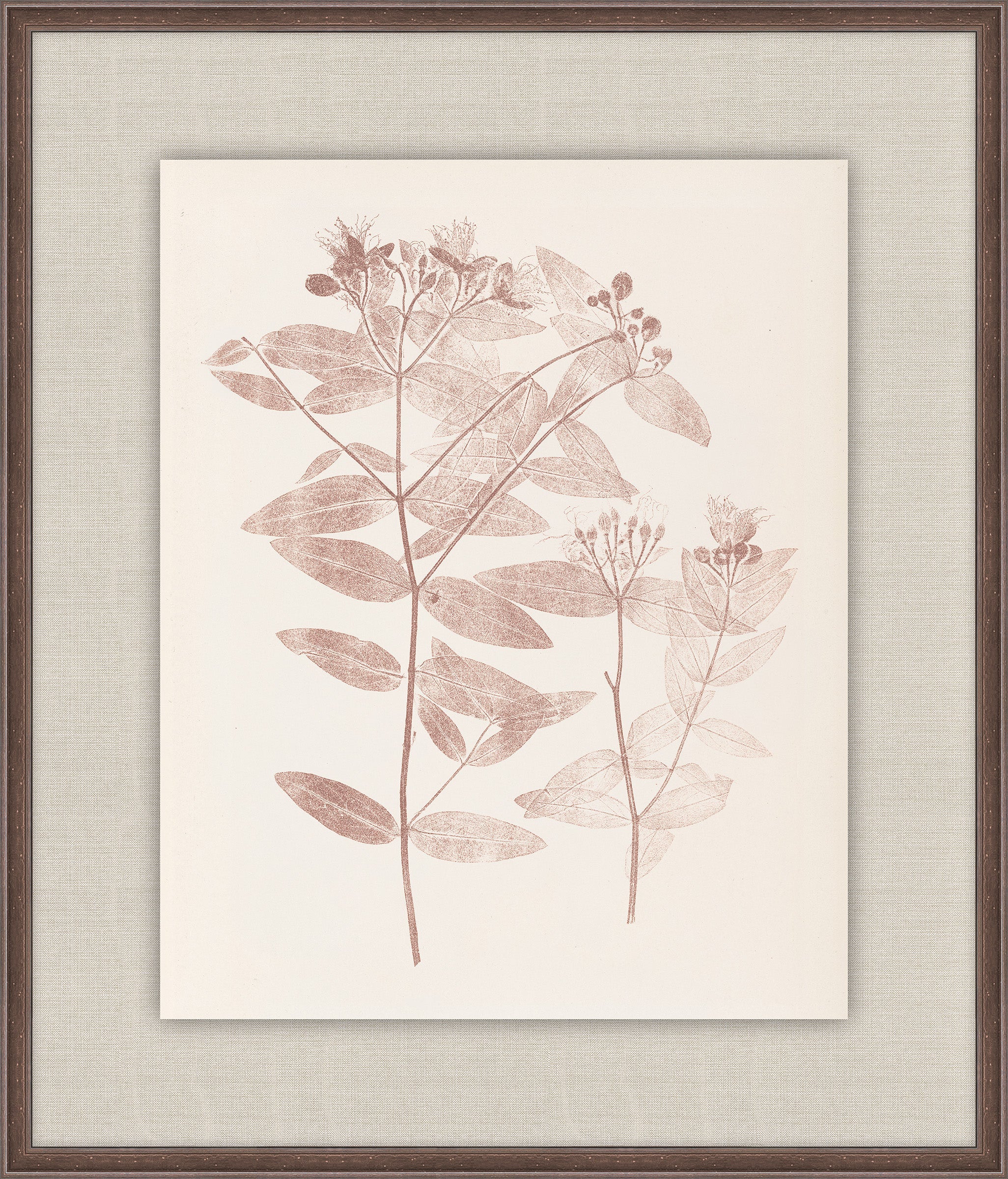 Herbier De La Flore on Burgundy I, Louis Antoine Cusin, 1876