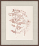Herbier De La Flore on Burgundy I, Louis Antoine Cusin, 1876