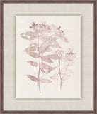 Herbier De La Flore on Burgundy I, Louis Antoine Cusin, 1876