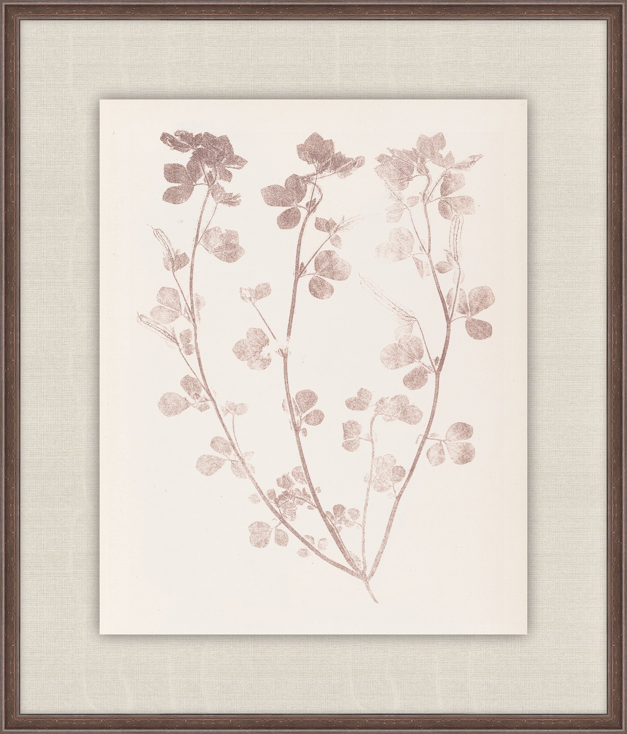 Herbier De La Flore on Burgundy I, Louis Antoine Cusin, 1876