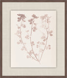 Herbier De La Flore on Burgundy I, Louis Antoine Cusin, 1876