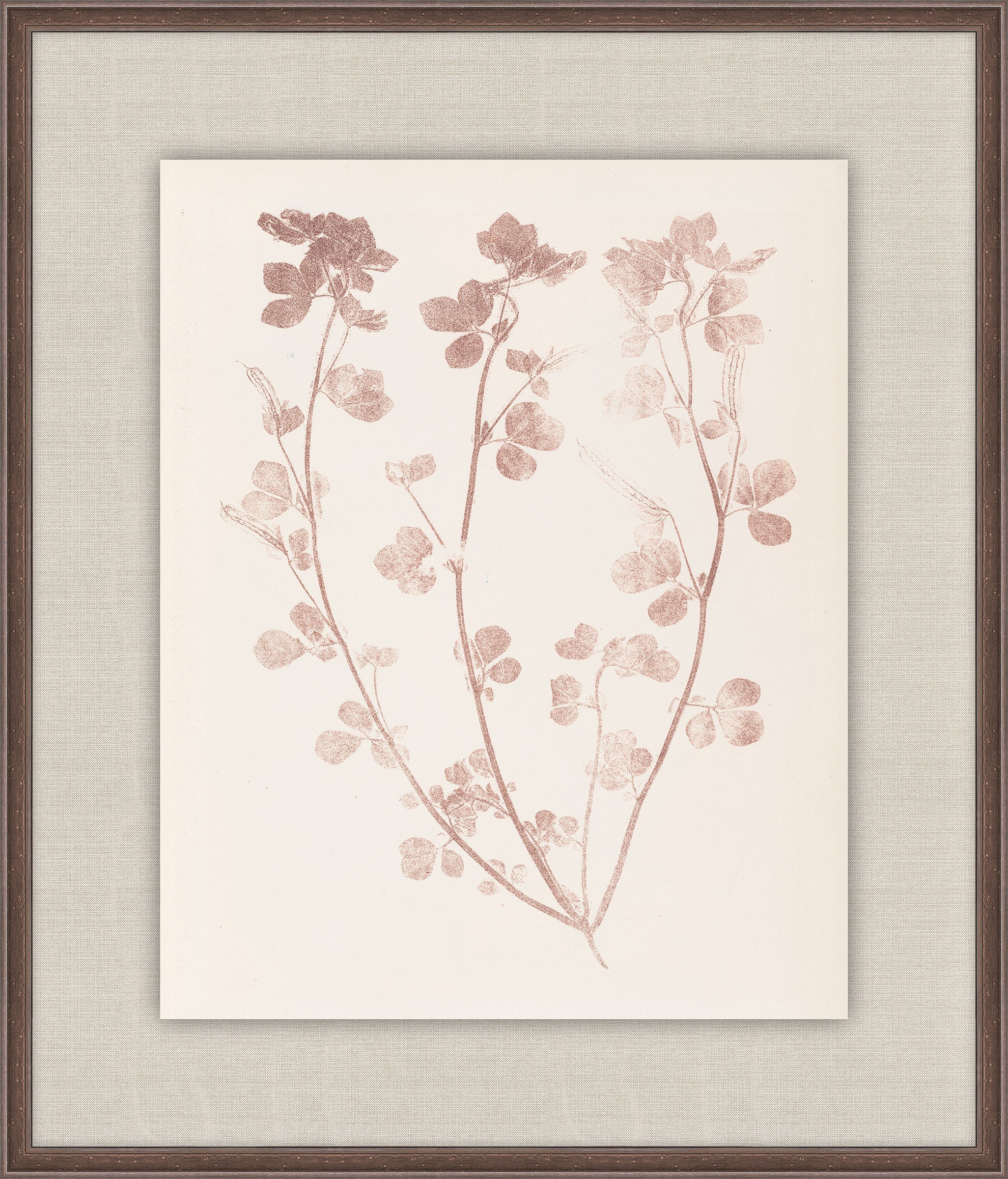 Herbier De La Flore on Burgundy I, Louis Antoine Cusin, 1876