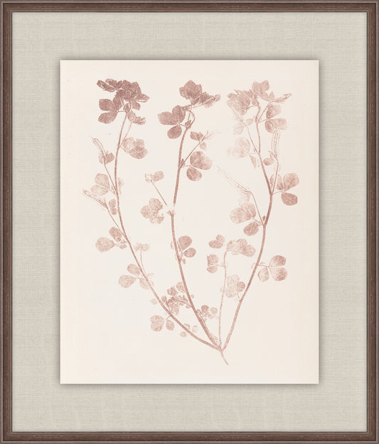 Herbier De La Flore on Burgundy I, Louis Antoine Cusin, 1876
