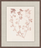Herbier De La Flore on Burgundy I, Louis Antoine Cusin, 1876