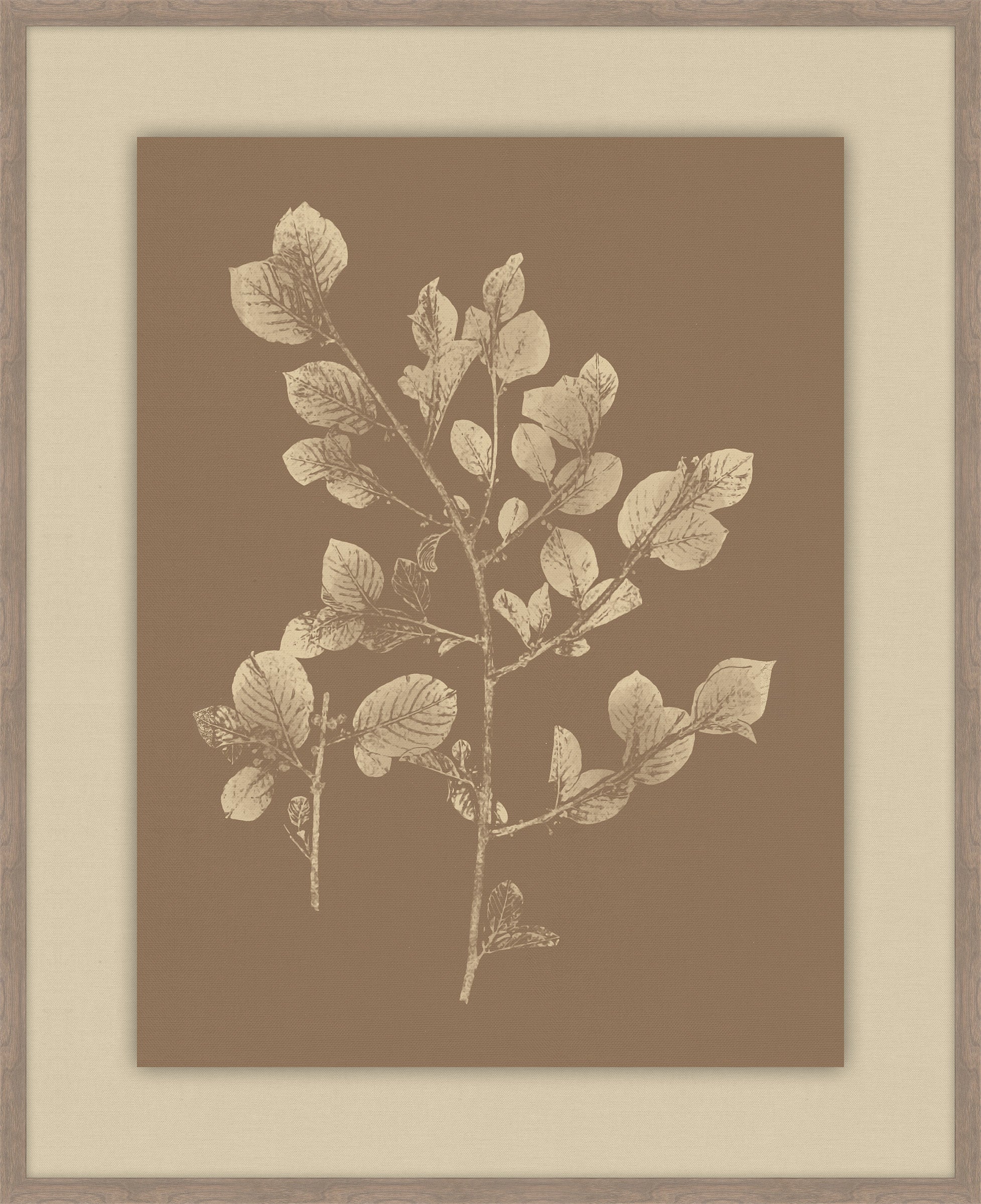 Herbier De La Flore Cappuccino Reverse II, Louis Antoine Cusin, 1876