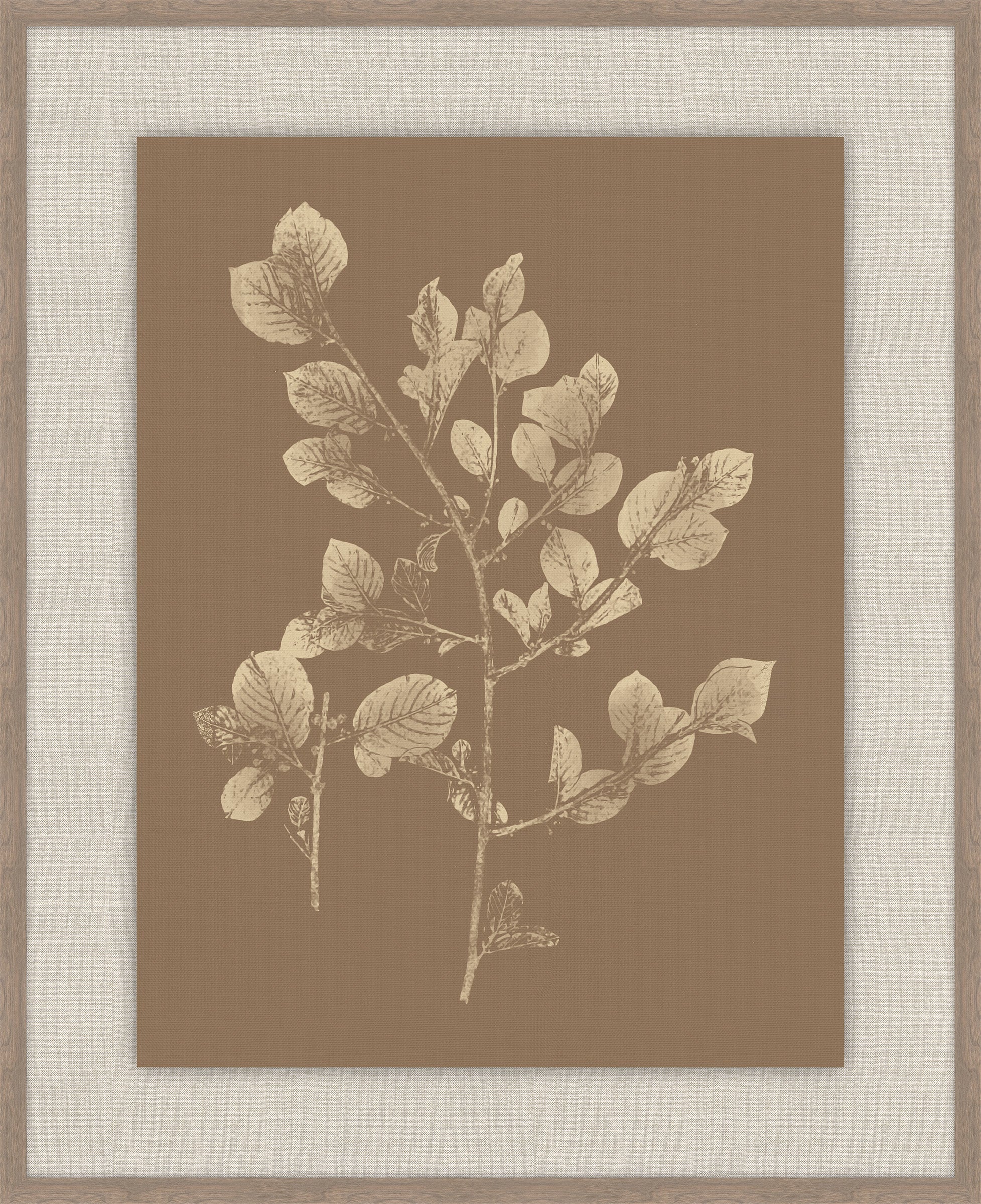 Herbier De La Flore Cappuccino Reverse II, Louis Antoine Cusin, 1876